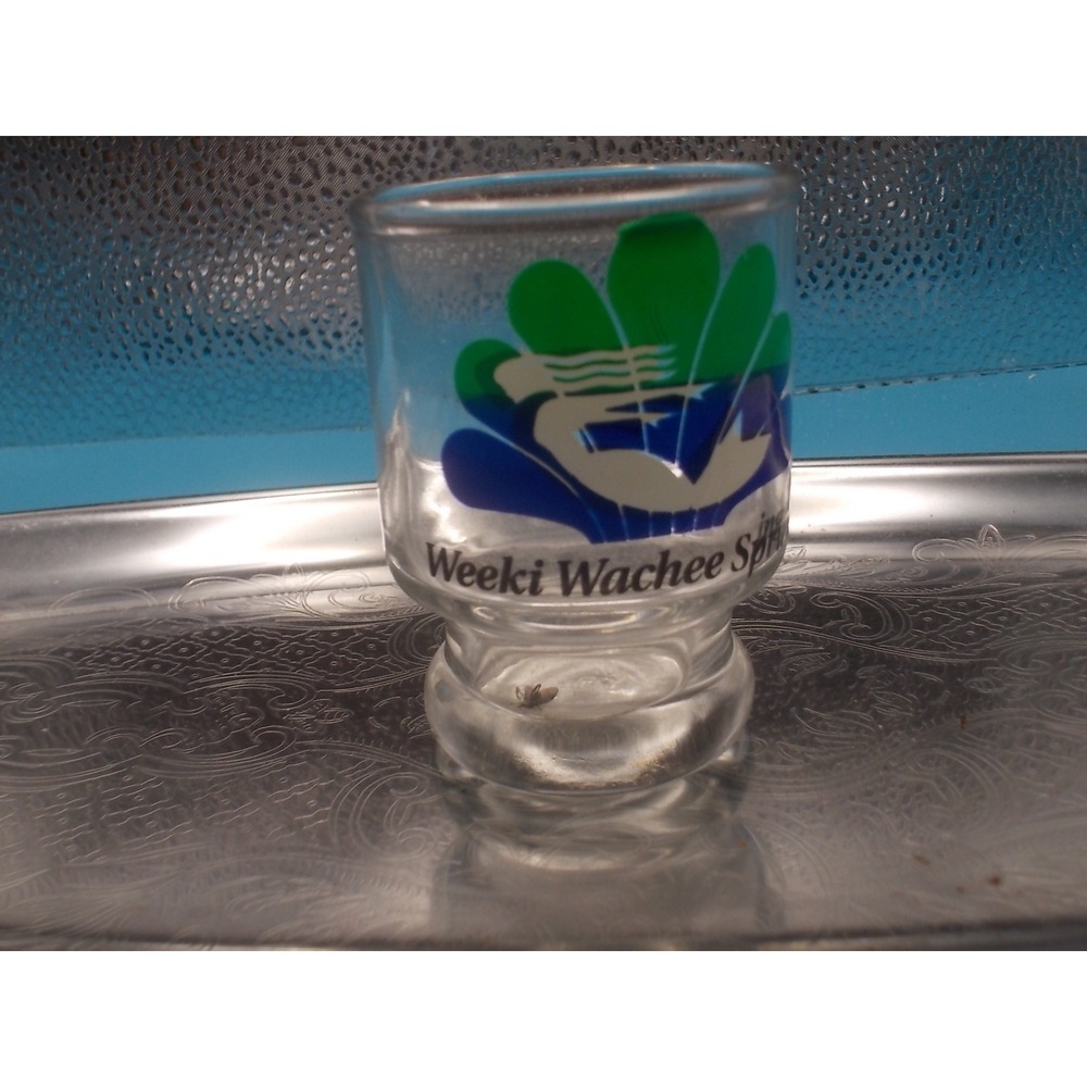 Vintage Weeki Wachee Springs Florida Souvenir Shot Glass Mermaid Logo Clear